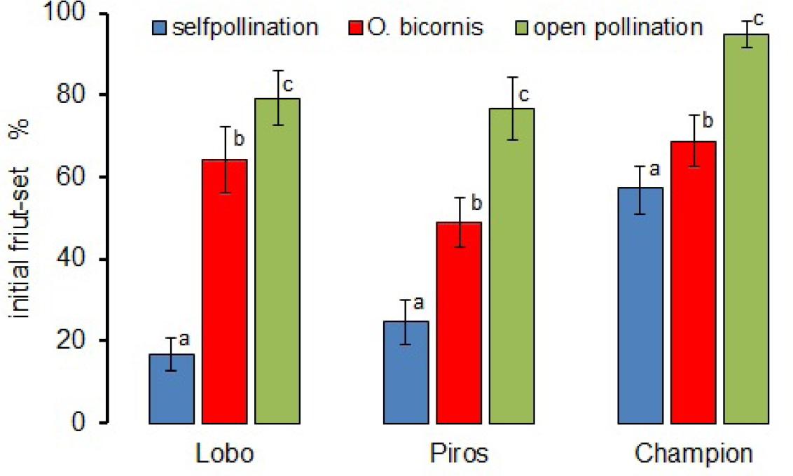 Percent initial fruit-set of three apple cultivars exposed to different pollination treatments.