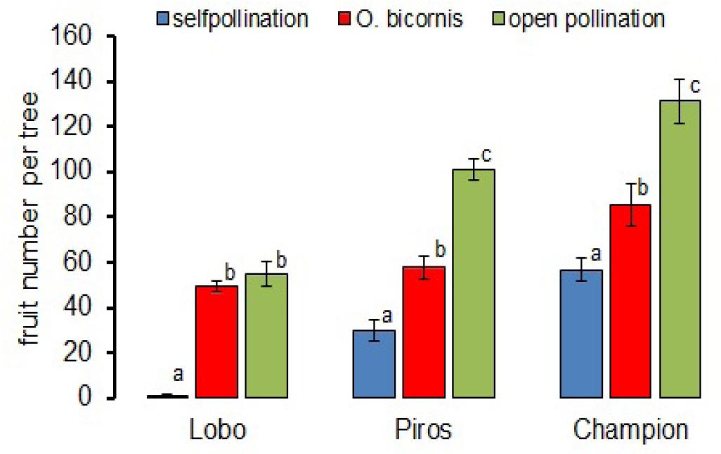 The mean number of fruits harvested from one apple tree exposed to different pollination treatments.