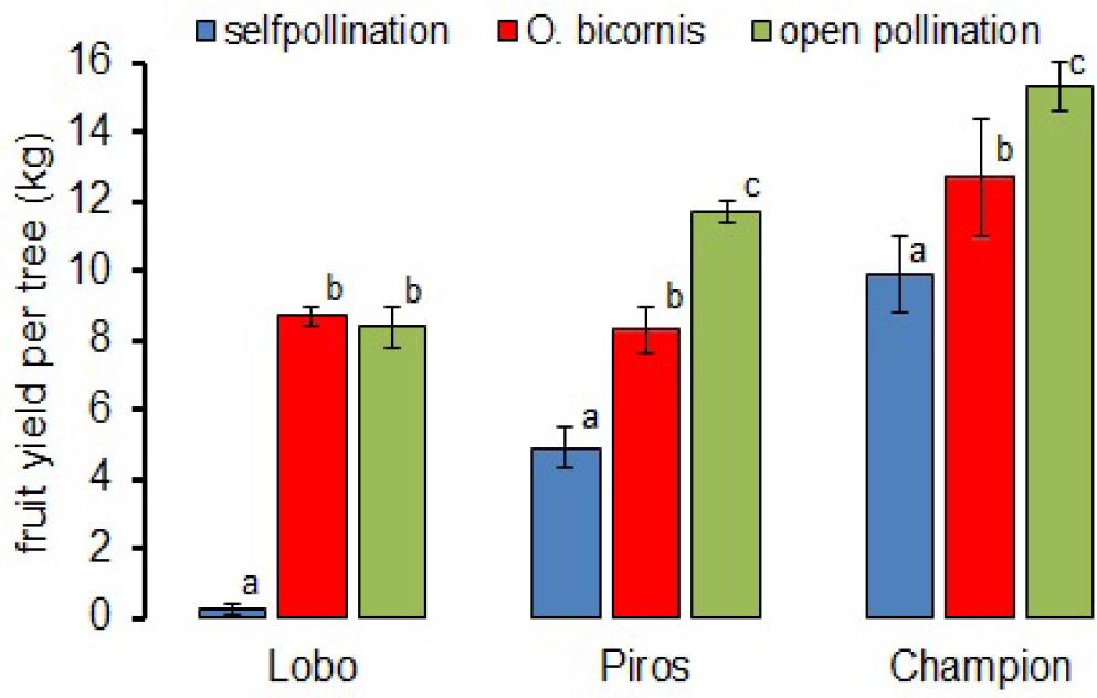 The mean fruit yield (kg) harvested from one apple tree exposed to different pollination treatments.