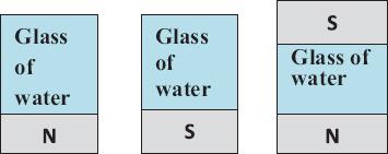 Different methods of magnetic treated water by poles: north pole (N), south pole (S), and bipolar (N-S)
