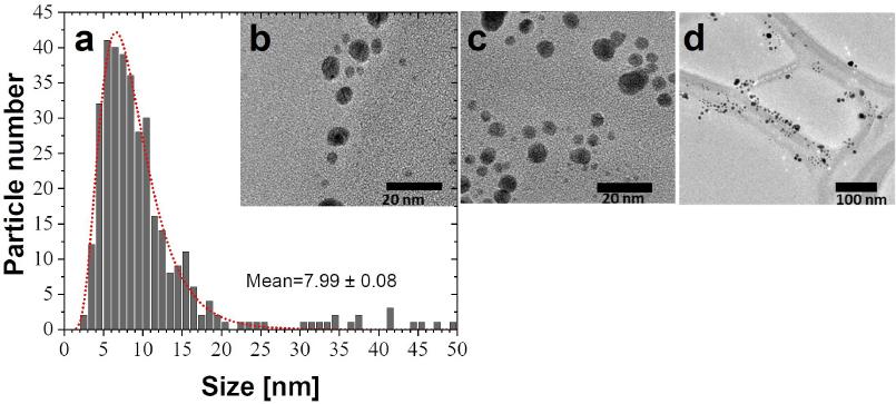(a) Size distribution, fitted with a Log-normal model (dotted line) from several micrographs (for instance b, c, and d) of AgNPs obtained using a temperature of 75°C