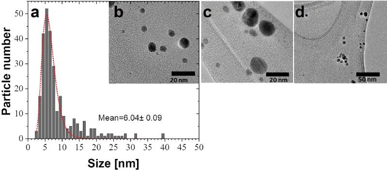 (a) Size distribution, fitted with a Log-normal model (dotted line) from several micrographs (for instance b, c, and d) of AgNPs obtained using pH 11