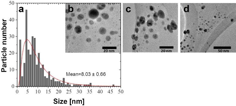 (a) Size distribution, fitted with a Log-normal model (dotted line) from several micrographs (for instance b, c, and d) of AgNPs obtained using pH 10