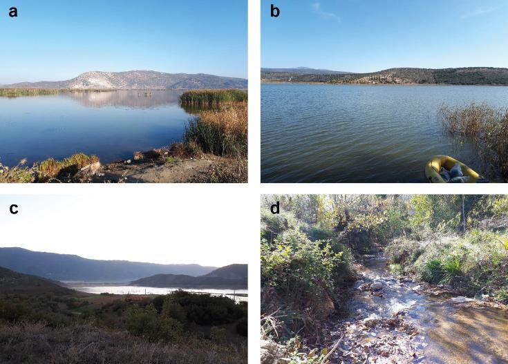 Some of the sampling sites in the Küçük Menderes catchment: a. Lake Belevi; b. Lake Gebekirse; c. Beydağ Reservoir; d. Aktaş Stream.