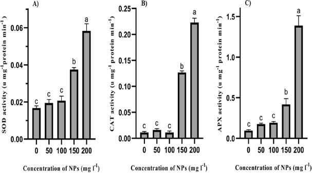 Activity of (A) SOD, (B) CAT and (C) APX in algal cells after 96 h exposure to V2O5 NPs Different letters indicate significant differences according to Duncan’s test at p < 0.05. The results are displayed as mean averages ± SE (n = 3).