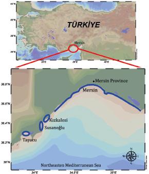 The location of Mersin province and the study area