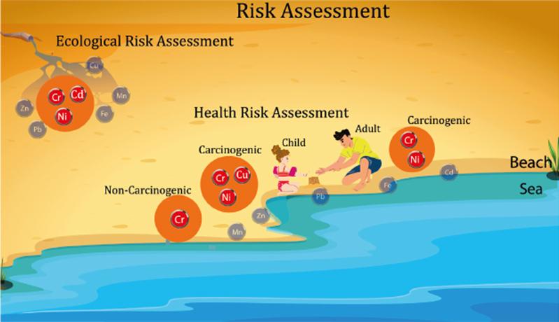 Ecological and health risk assessments of beach sediments along the Mersin coast