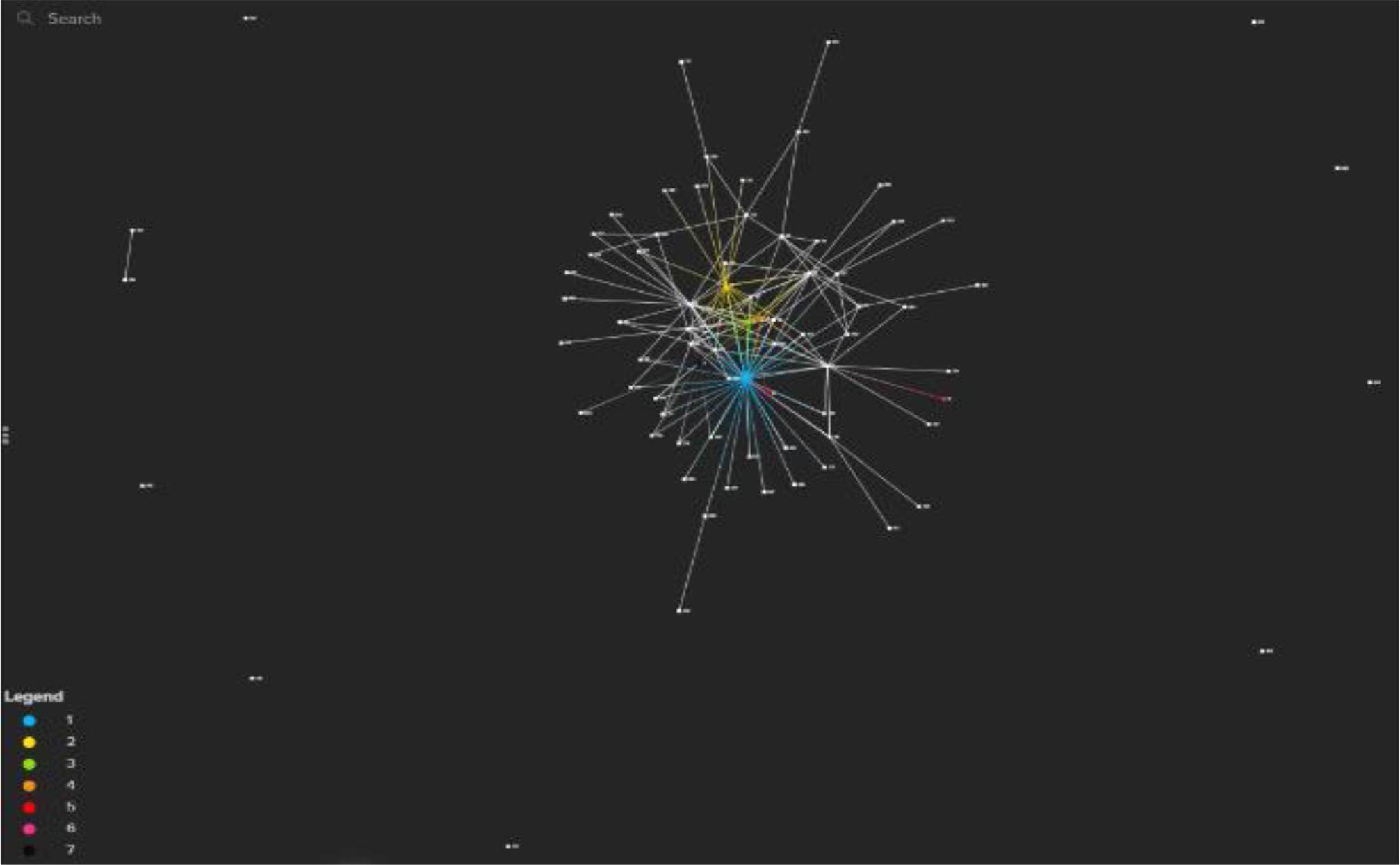 The network structure of the BCMG sample