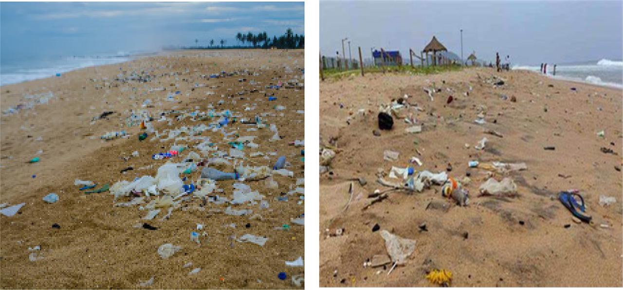 Guinea Mensah Beach Environment