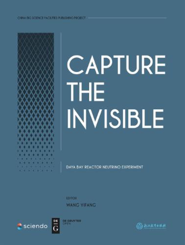 Capture the Invisible-Daya Bay Reactor Neutrino Experiment