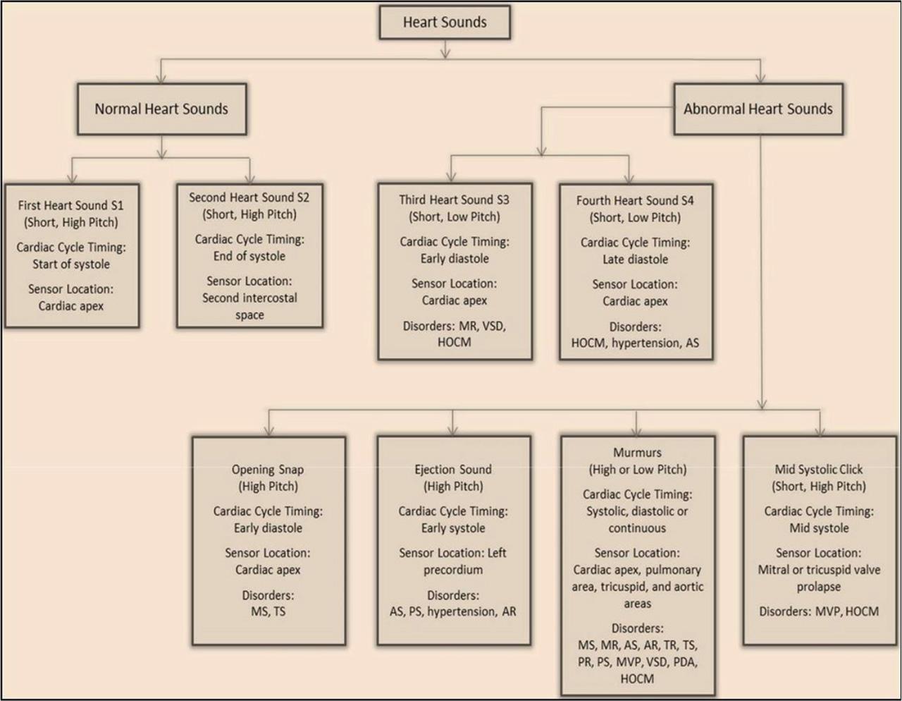 Characteristics of various kinds of Heart Sounds. AR, aortic regurgitation; AS, aortic stenosis; MR, mitral regurgitation; MS, mitral stenosis; MVP, mitral valve prolapse; PDA, patent ductus arteriosus; PR, pulmonary regurgitation; PS, pulmonary stenosis; TR, tricuspid regurgitation; TS, tricuspid stenosis; VSD, ventricular septal defect.