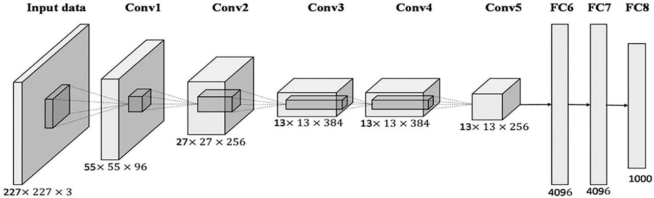 Schematic block diagram of Alex Network.