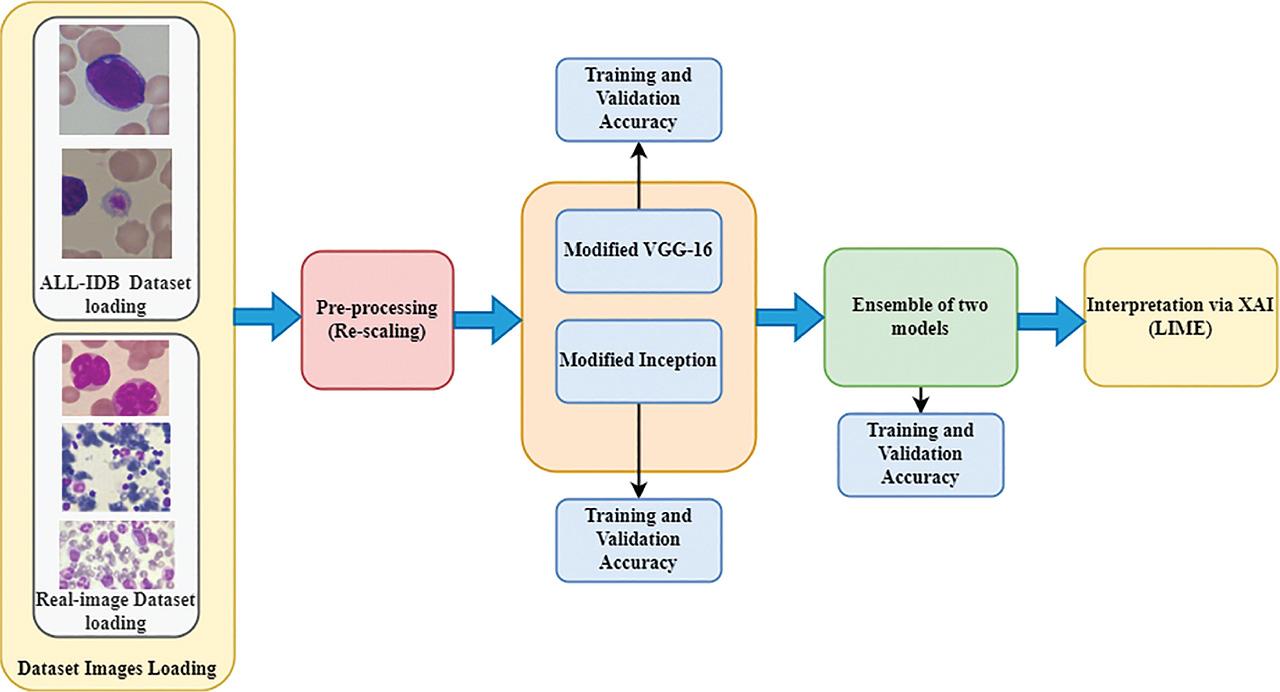 Proposed methodology for leukemia diagnosis. LIME, Local Interpretable Model-Agnostic Explanations; XAI, explainable artificial intelligence.