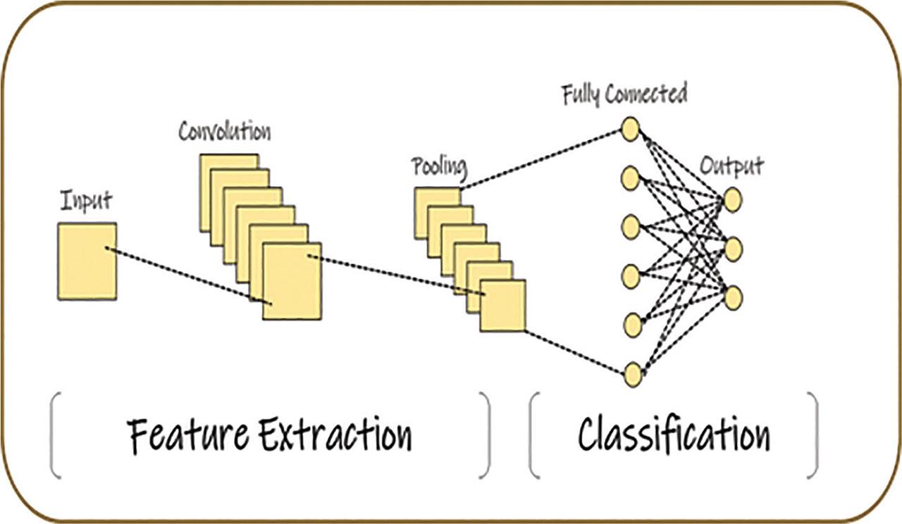 CNN. CNN, convolutional neural network.