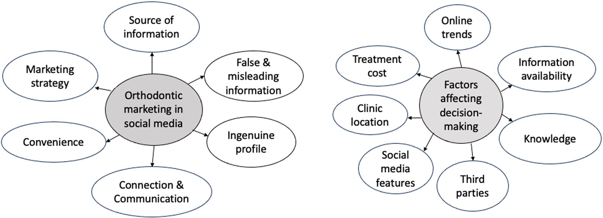 Main themes and sub themes.