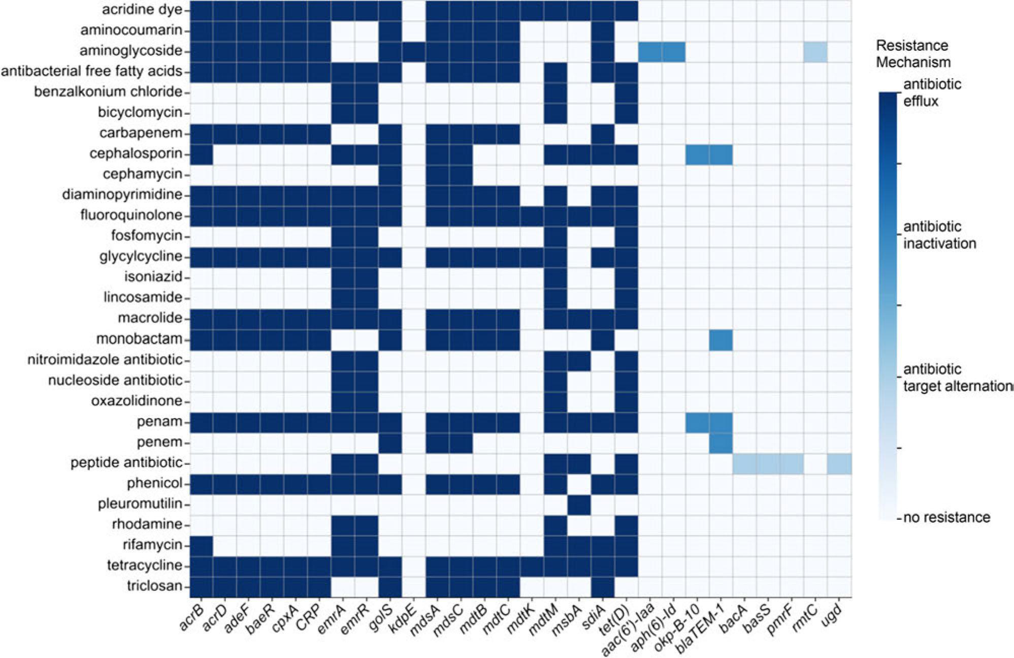Resistance genes annotated with 21A based on CARD database.