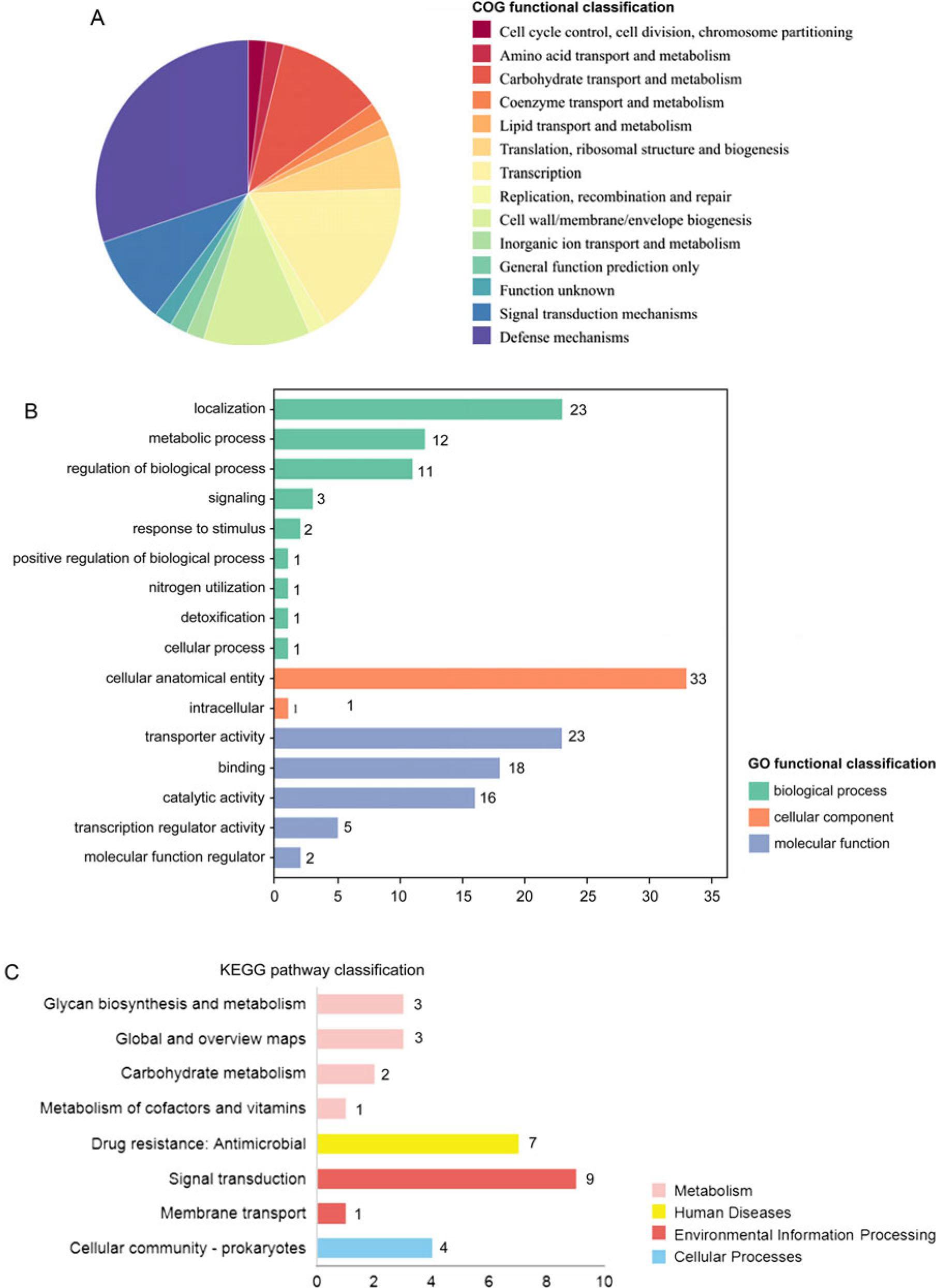 A, B, C, D, E, F. Functional annotations of 21A resistance genes and virulence genes based on database searches.