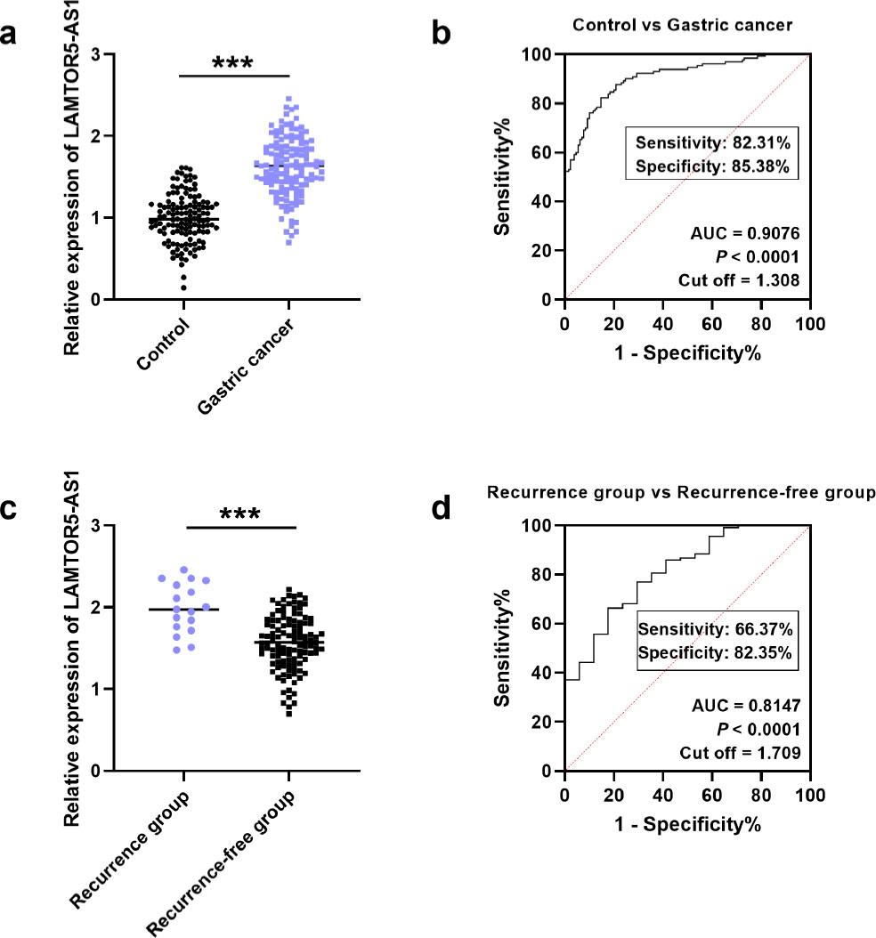 Expression and predictive ability of LAMTOR5-AS1. (a) LAMTOR5-AS1 was markedly upregulated in gastric cancer. (b) LAMTOR5-AS1 expression helps to distinguish gastric cancer patients from control individuals (AUC = 0.9076). (c) LAMTOR5-AS1 level was enhanced in the recurrent group. (d) Predictive potential of LAMTOR5-AS1 expression in early gastric cancer patients for recurrence after ESD (AUC = 0.8147). ***P < 0.001