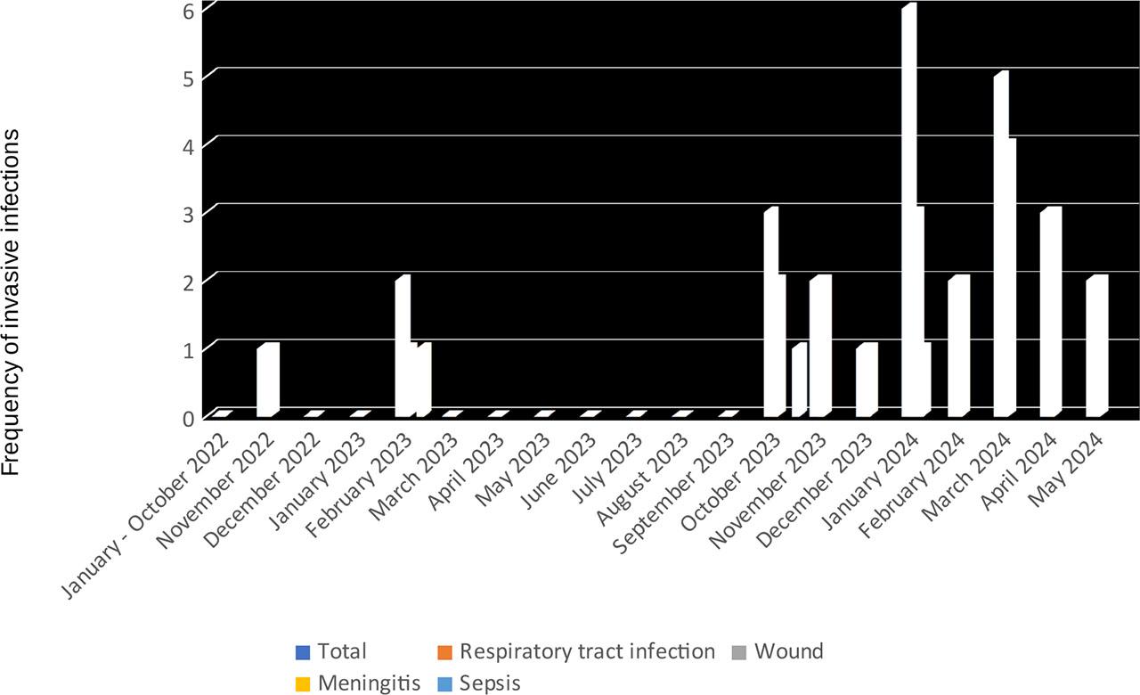 Frequency of invasive Hemophilus influenzae infections in individual months from January 2022 to May 2024, with consideration of the type of infection. The Y-axis shows the number of cases