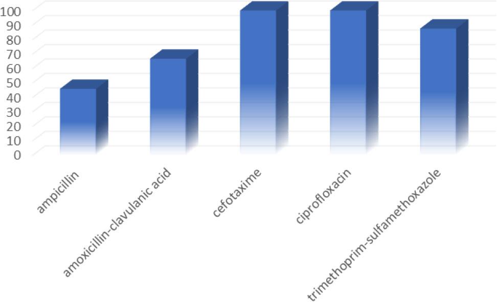 Antibiotic susceptibility of the tested strains of Hemophilus influenzae (n=24). The Y-axis shows the percentage of sensitivity to specific antibiotics (X-axis) determined for all tested strains during the period from October 1, 2023 to May 31, 2024