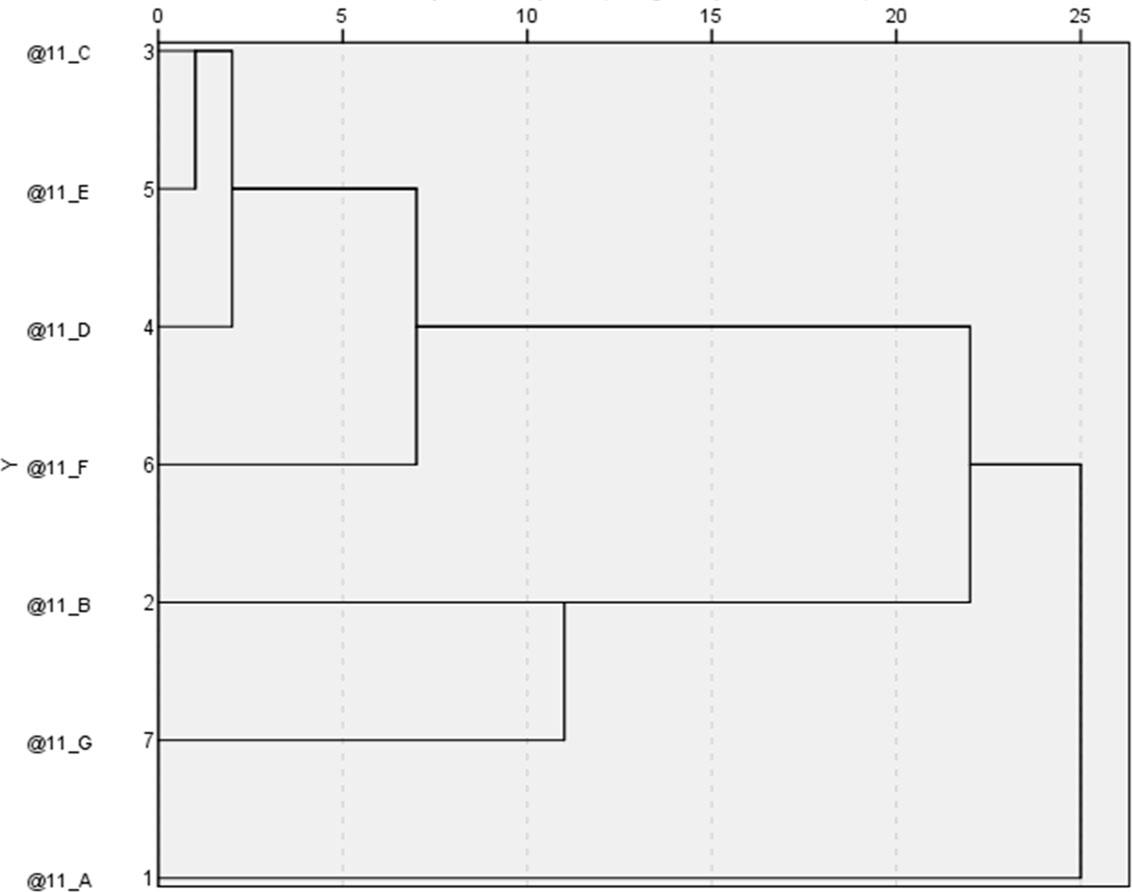 Dendrogram showing clusters of advantages of the offline environment as a place of cooperation with offerors. Letters as in Table 3.Source: own study.
