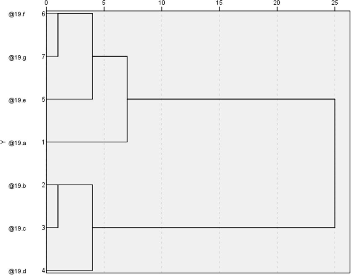 Dendrogram showing clusters of types of services respondents would like to co-create. Letters as in Table 4.Source: own study.