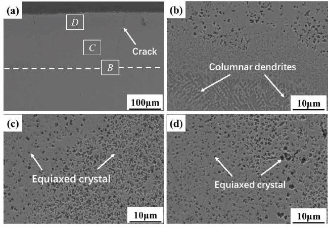 SEM image of the B0 coating: (a) cross sectional morphology of the coating, (b) magnification of rectangular region B, (c) magnification of rectangular region C, (d) magnification of rectangular region D