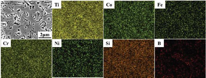 SEM images and EDS elemental distribution maps of B6 coating
