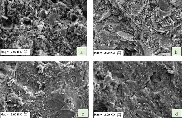 SEM imaging of cement pastes aged 28 days, (a)Cement paste contains 0% U-POFA, (b) Cement paste contains 20% U-POFA, (c) Cement paste contains 40% U-POFA, (d) Cement paste contains 60% U-POFA