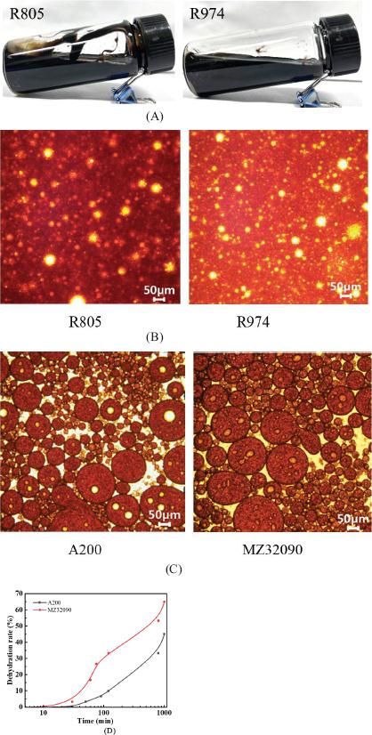 Effect of of SiO2 nanoparticles hydrophobicity and size on emulsion stability of acidic crude oil Notes: (A) Hydrophobic SiO2 nanoparticles R805 and R974, exhibited ineffective to emulsify acidic crude oil; (B) Microscopic images of hydrophobic SiO2 nanoparticle R805 and R974 failed to emulsify crude oil; (C) Microscopic images of hydrophilic SiO2 nanoparticle A200 and MZ32090 emulsified crude oil; (D) dehydration rate of hydrophilic SiO2 nanoparticles A200 and MZ32090 emulsified crude oil. A lower dehydration rate indidated a higher stability