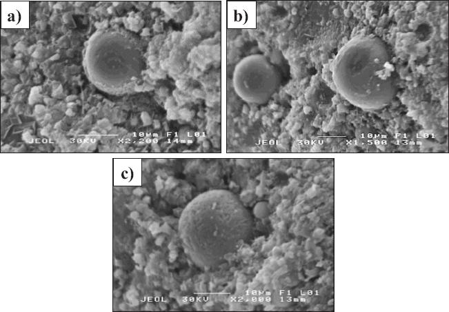 (a) Particles coated with hydration products; (b) smooth-surfaced particles; (c) particles with evidence of attack on their surface
