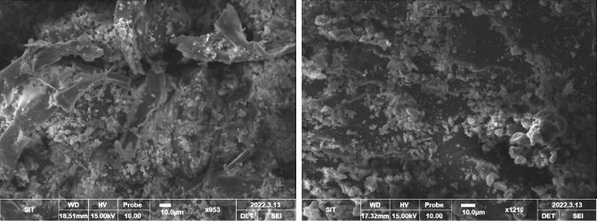 Typical SEM observations of composite specimens