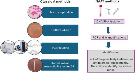 Methods used in the diagnosis of N. gonorrhoeae.
