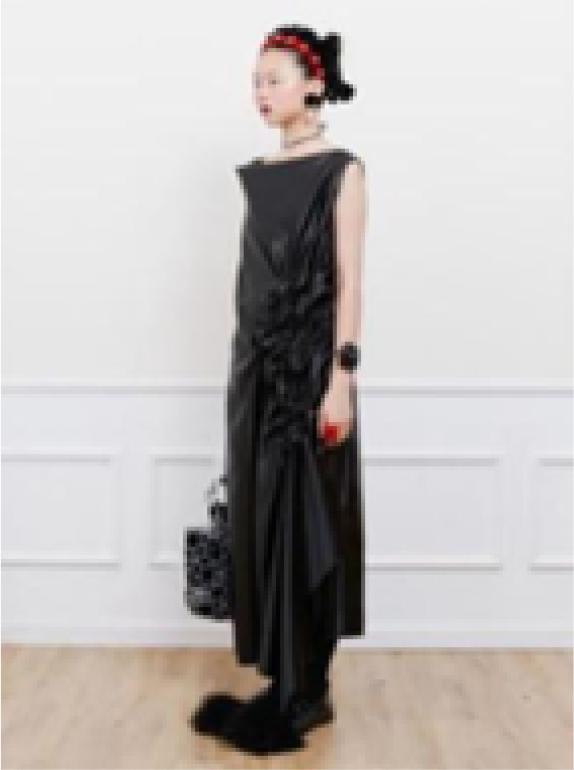 Deplumer 2021 (from pinterest)