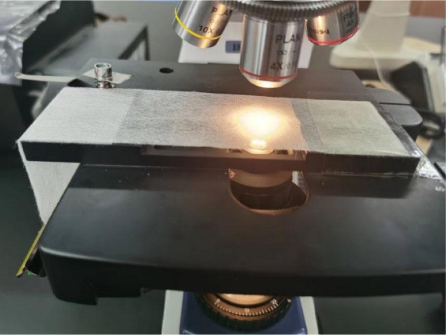 Measurement of surface morphology of nonwovens