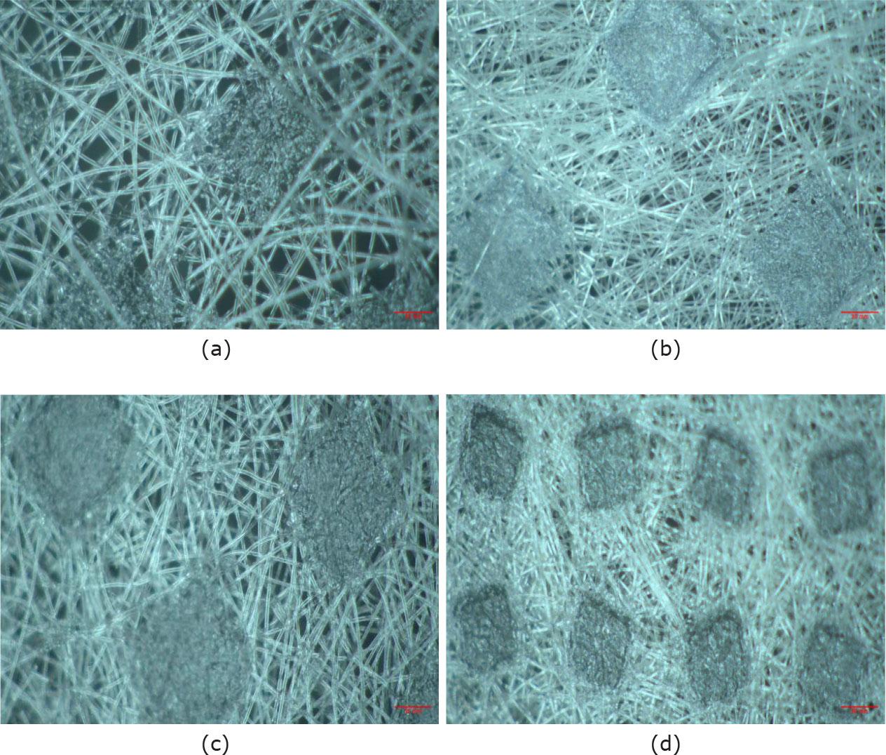 Photos of surface morphology of nonwovens, (a) PP30, (b) PLA30, (c) PET30, (d) PA30