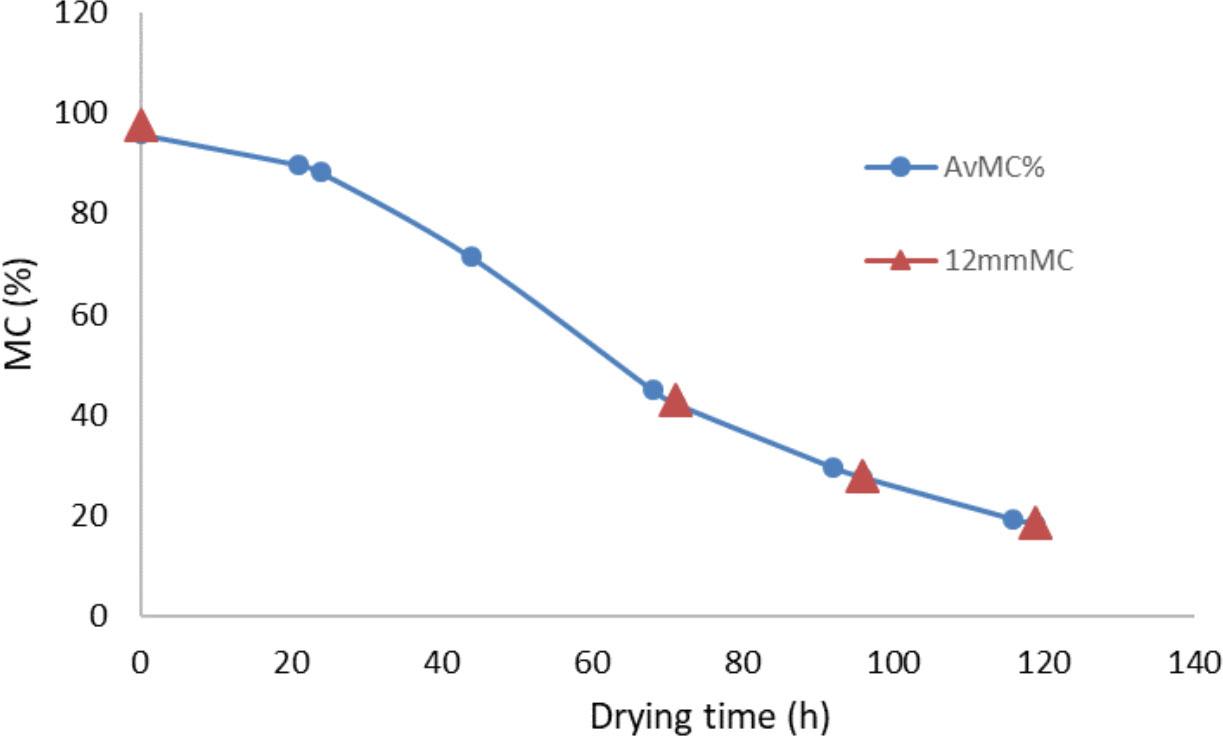 A comparison of the average moisture content levels, and the moisture content levels which were obtained using the slicing method at a depth of 12 mm on the example of alder wood.