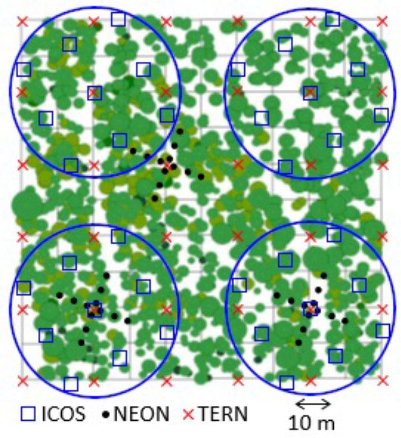 Positions for digital hemispherical photography within the test site of Järvselja RAMI birch stand.Joonis 1. Mõõtmispunktide asukohad Järvseljal RAMI kaasikus vastavalt erinevatele skeemidele.