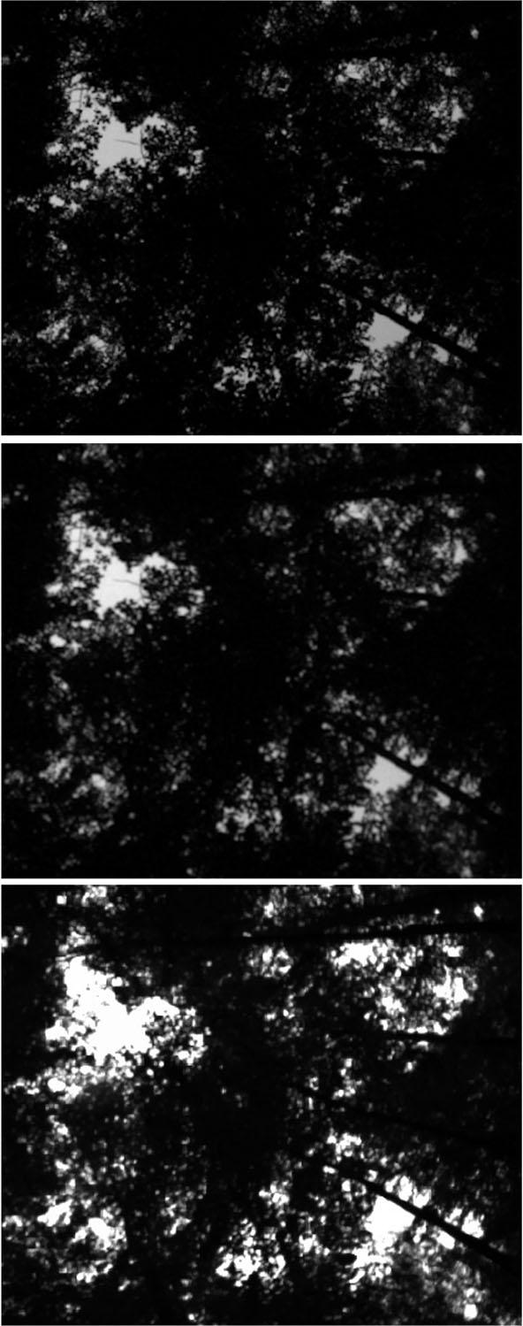 Zoomed-in central parts of the blue channel of the photos taken from ICOS point A8 with setup I (A), setup II (B), and setup III (C).Joonis 7. Suurendus kaameratega (I, II ja III) ICOS võrgustiku punktis A8 tehtud ülesvõtte keskosast. Kaamera III pildil on näha tugeva ülevalgustatuse ilminguid.