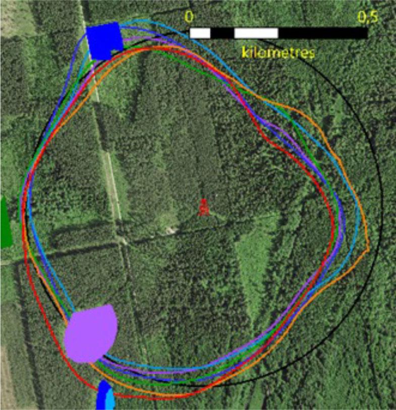 The contours of the FFP area for the years 2015–2020. It is visible that the change in the FFP area differs year to year and that these changes introduce also changes in the fraction of the land cover elements (e.g. clear-cut, road) or tree species. Coloured areas stand for clear-cuts. Blue, dark blue and purple colours show areas that were clear-cut in 2018, 2019 and 2020, respectively. The red sign in the middle indicates the location of the flux tower.