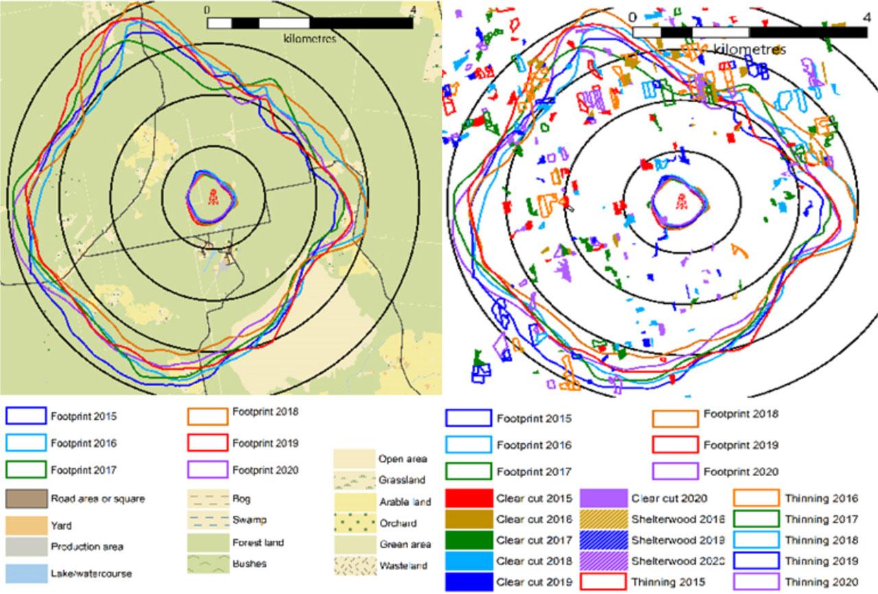 The contours of the FFP area in 2015–2020. It is visible that the change in the FFP area differs year to year and that these changes introduce also changes in the fraction of the land cover elements (e.g. clear-cut, road, forest area) or tree species. Different colours and filling patterns mark thinning and clear-cut areas in different years.
