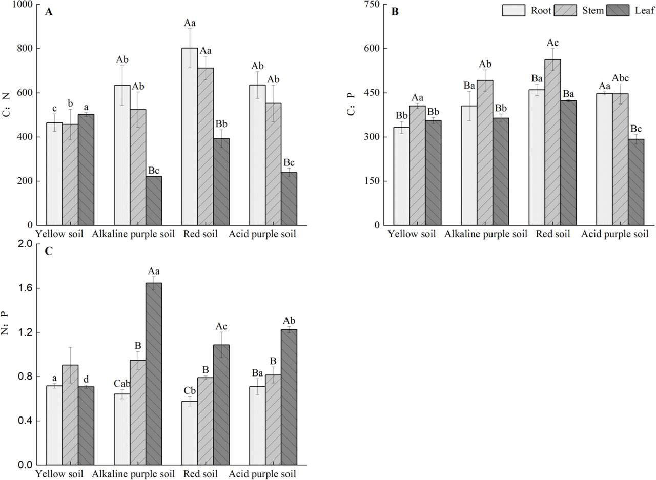 Effects of four soil types on C:N, C:P and N:P ratios in P. chinense seedlings.