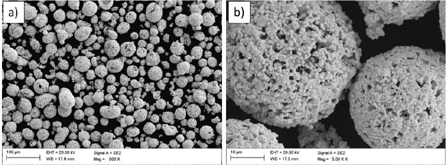 Morphology of the initial feedstock powder: (a) standard view, (b) detailed view