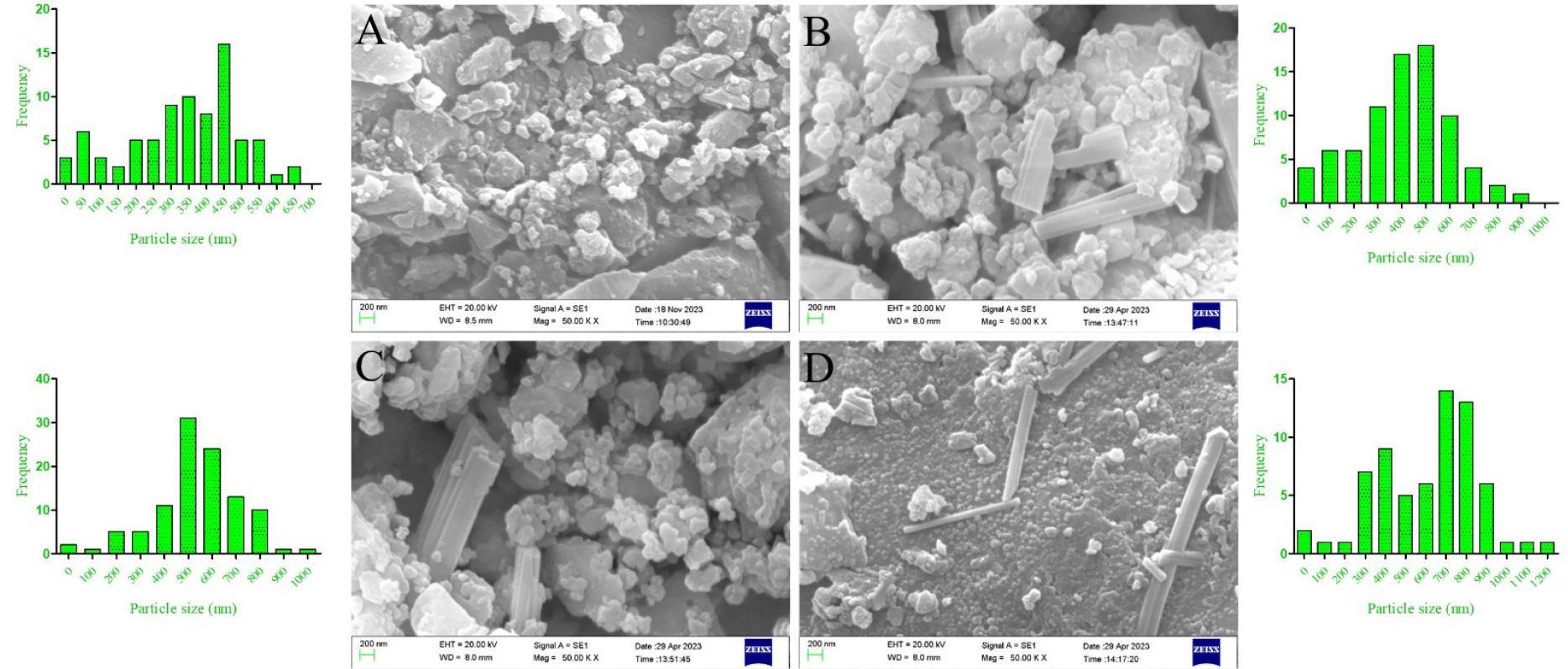 Representative SEM imaging results for (A) ZIF, (B) PROZIF, (C) SAFROZIF, and (D) CURCUZIF nanocarriers and their size distribution