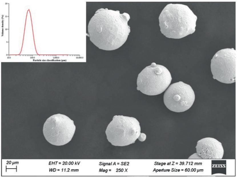 Microscopic morphology of 18Ni300 powder