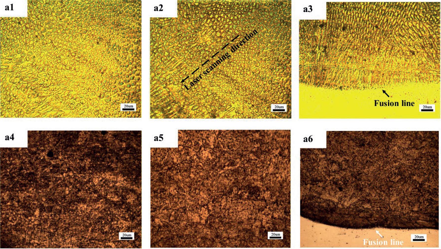 Microstructure of cladding layer before and after heat treatment