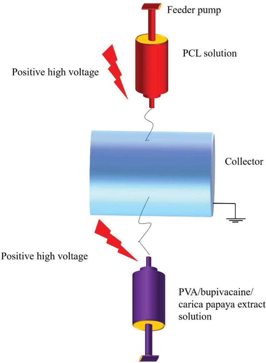 Schematic illustration representing the fabrication process of BUPCPEPCLPVA and PCLPVA scaffolds