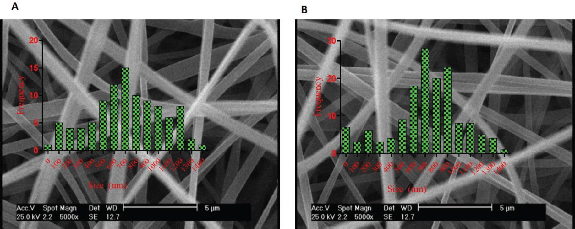 SEM images of (A) BUPCPEPCLPVA and (B) PCLPVA
