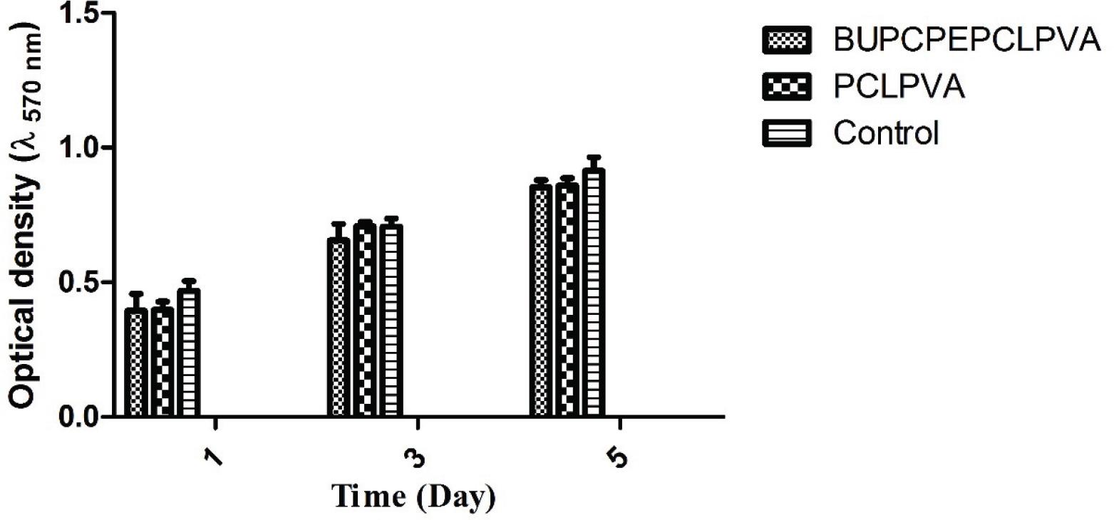 MTT assay with L929 cells cultured on BUPCPEPCLPVA and PCLPVA scaffolds compared with the cells cultured on tissue culture plate as the control group