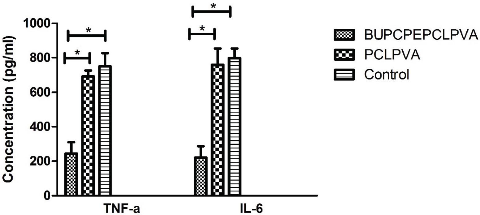 Concentrations of TNF-a and IL-6 in the supernatant of RAW 264.7 murine macrophage cells cultured on BUPCPEPCLPVA and PCLPVA scaffolds, * shows p-value < 0.05